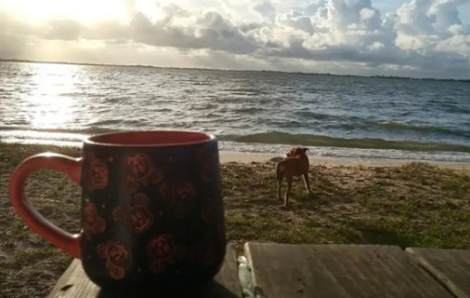 Coffee Cafe And Premium Bean Distributor Placencia