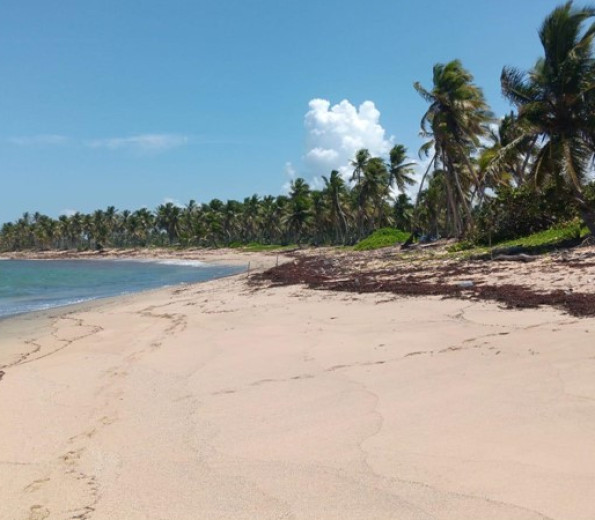 Beachfront Land for sale