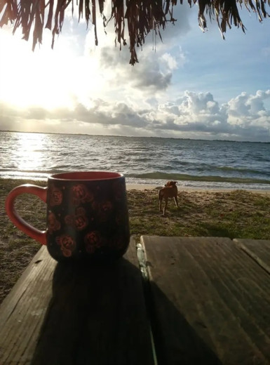 Coffee Cafe And Premium Bean Distributor Placencia